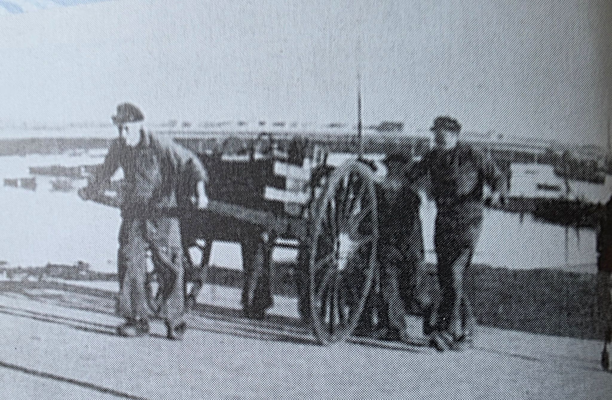 Du bateau à la criée , le poisson voyage en charette