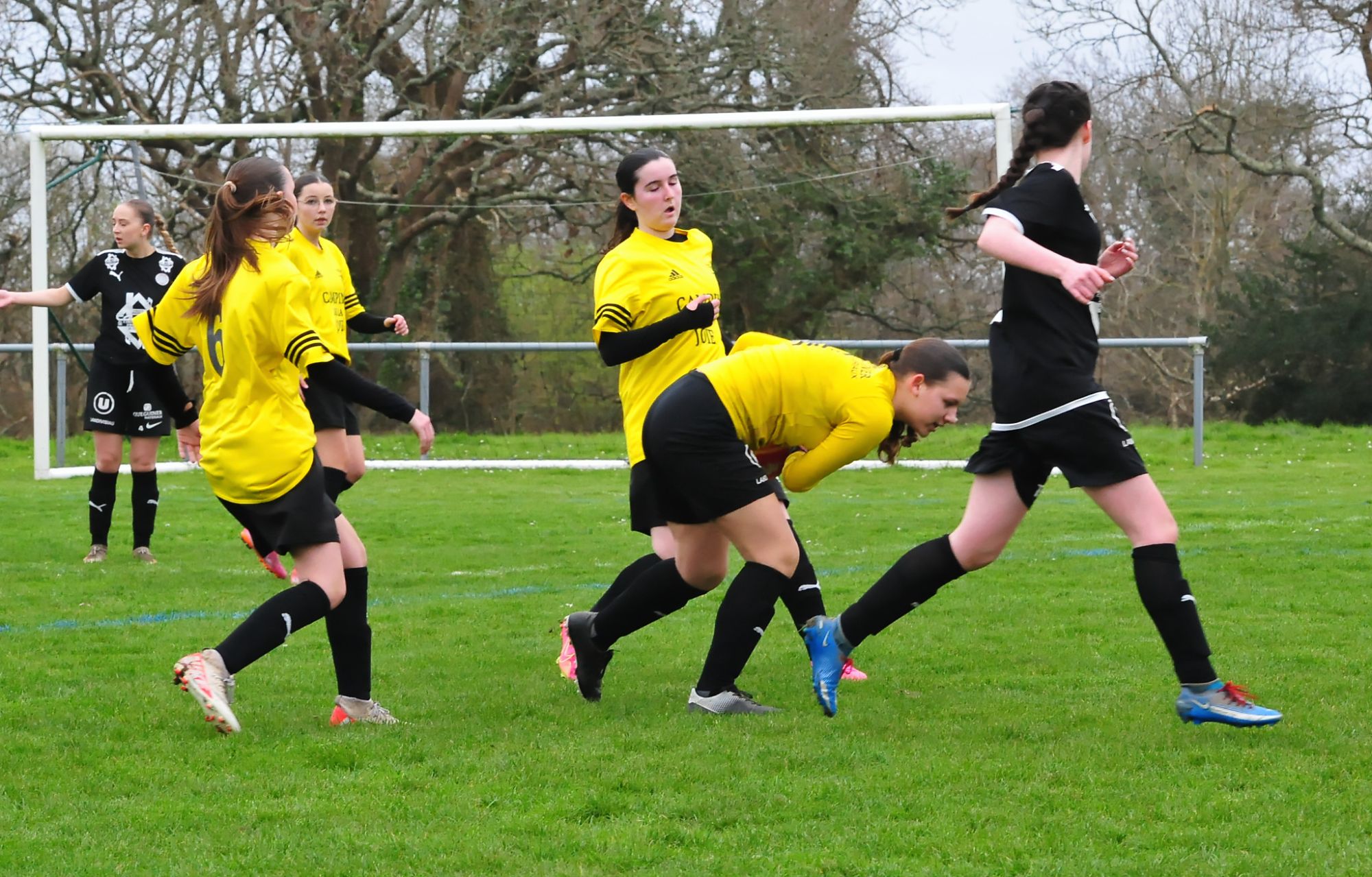 DSC 8640 DxO