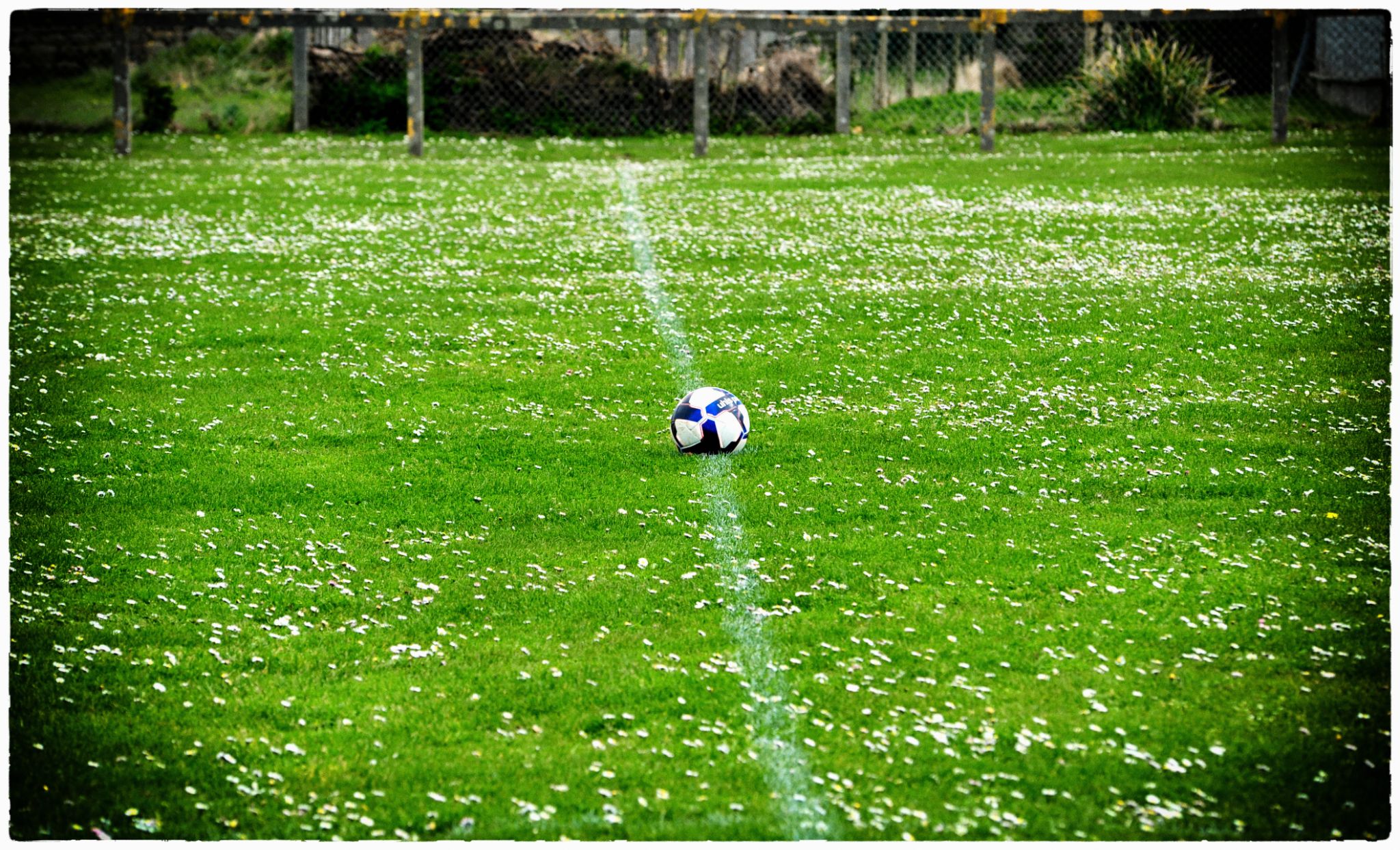 Keryet ou la fête de la marguerite