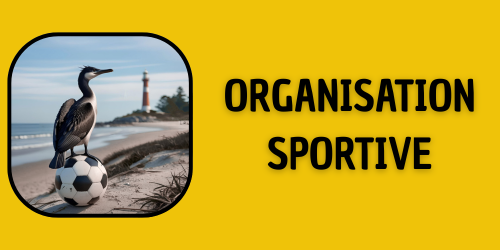 Organisation sportive