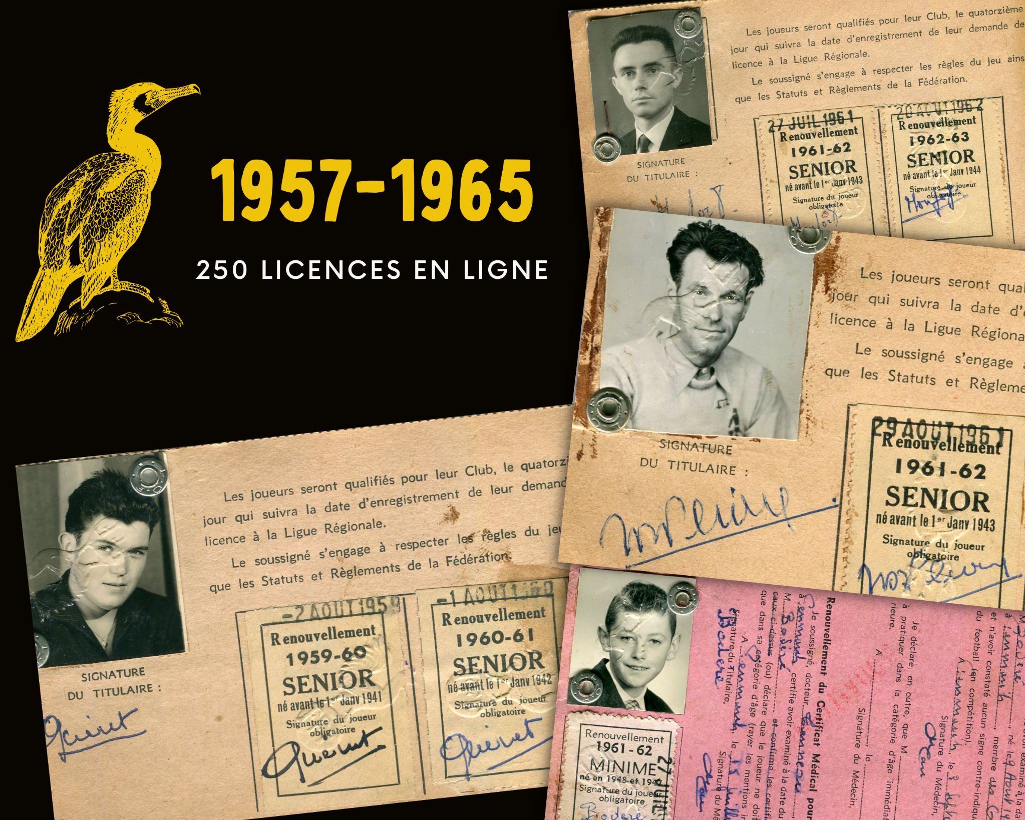 1957  À 1965 : LES LICENCES DES CORMORANS 