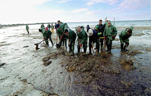 Naufrage Erika 1999 2