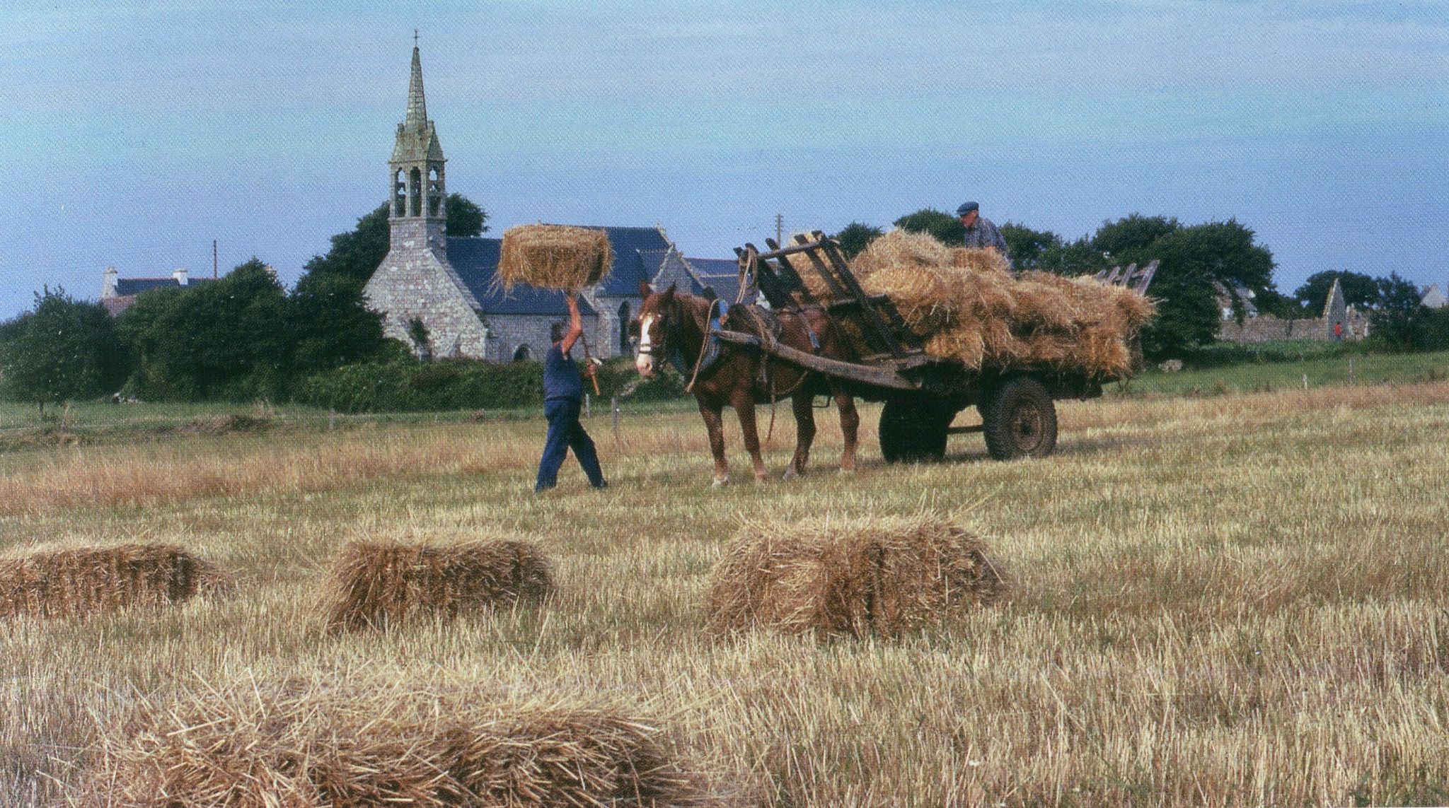 1977 ramassage des foins