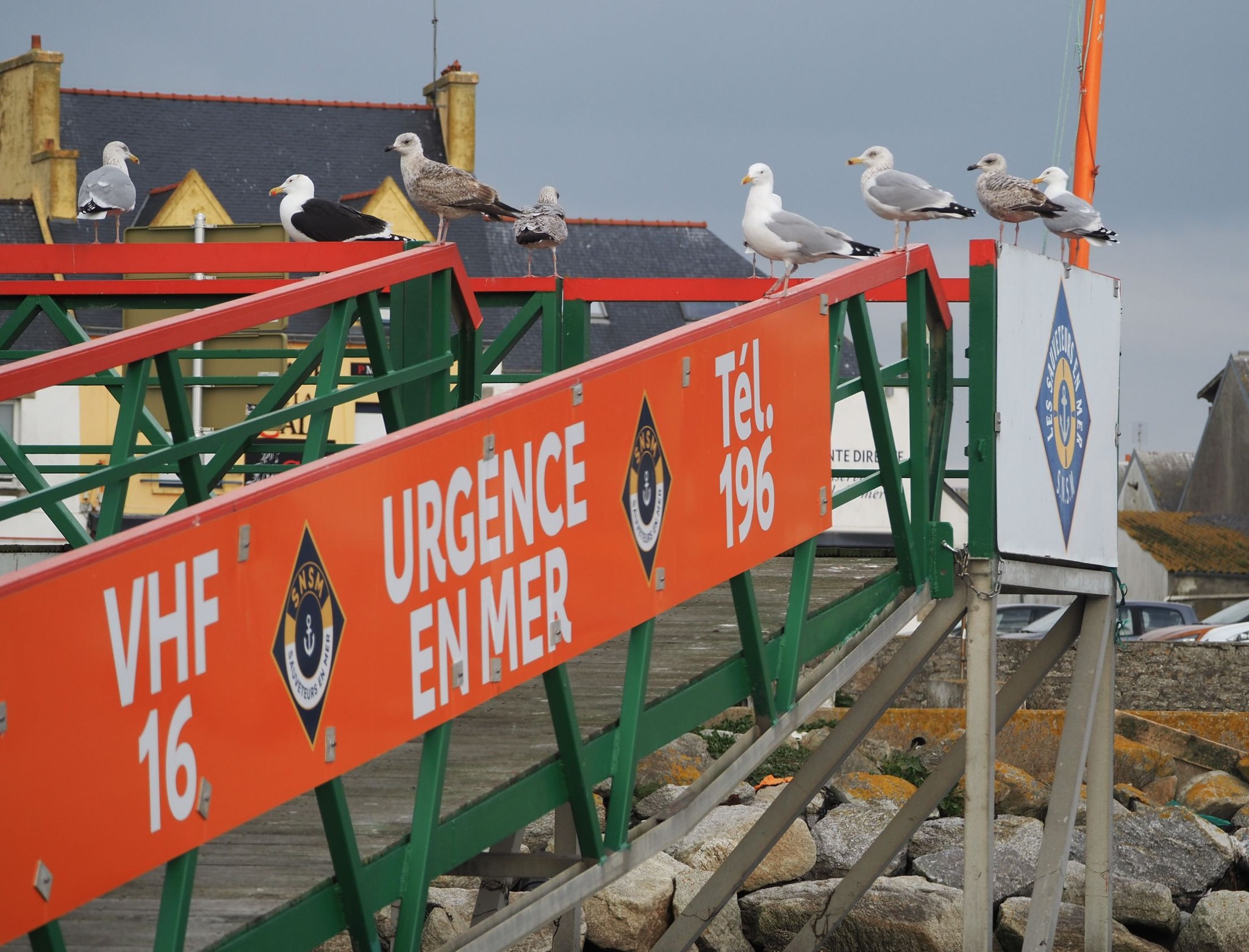 486612592 1050068850485757 2023786948012310952 n