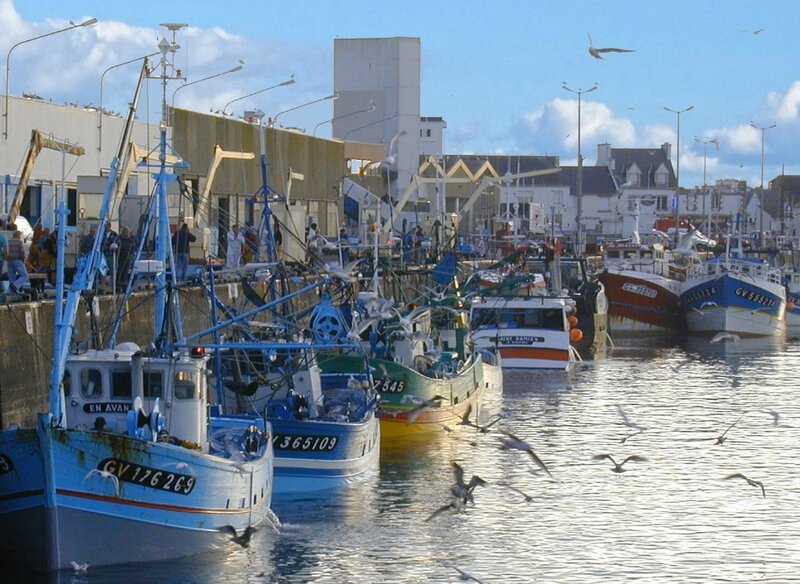 Le port de Saint-Guénolé bondé de bateaux dans les années 70