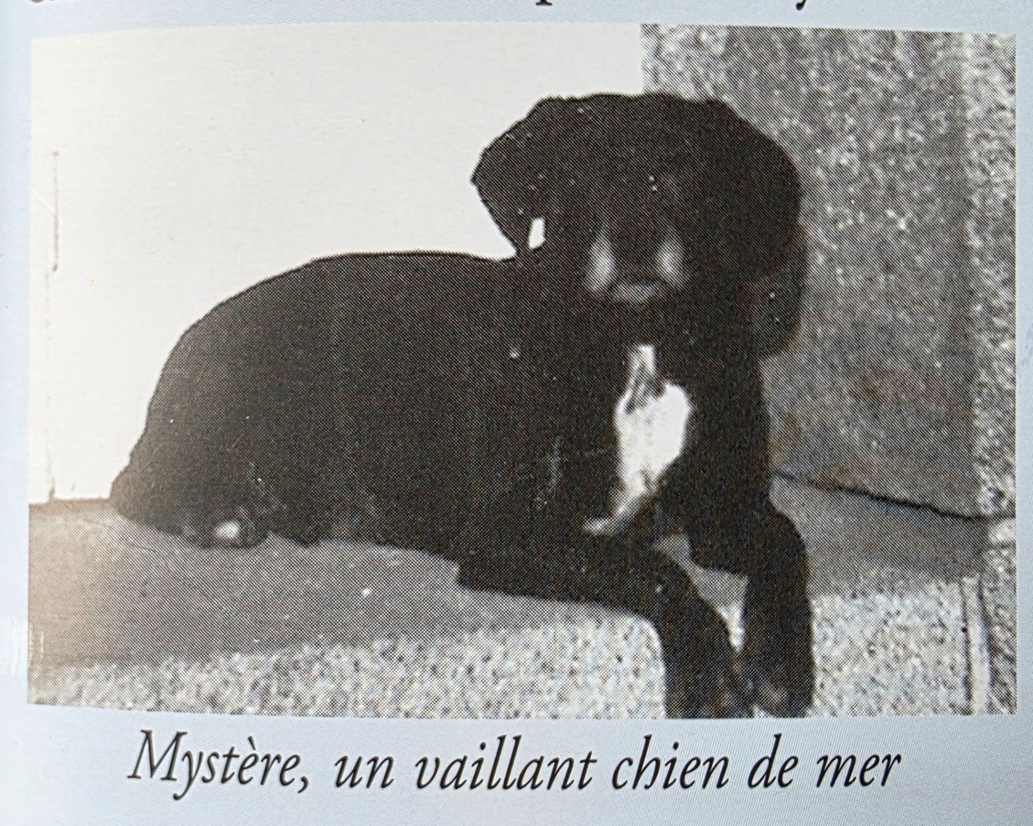 Mystère