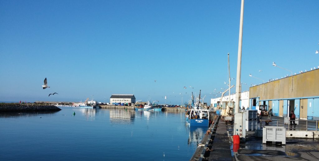 La criée de Saint-Guénolé