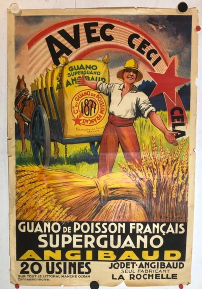 Guano1