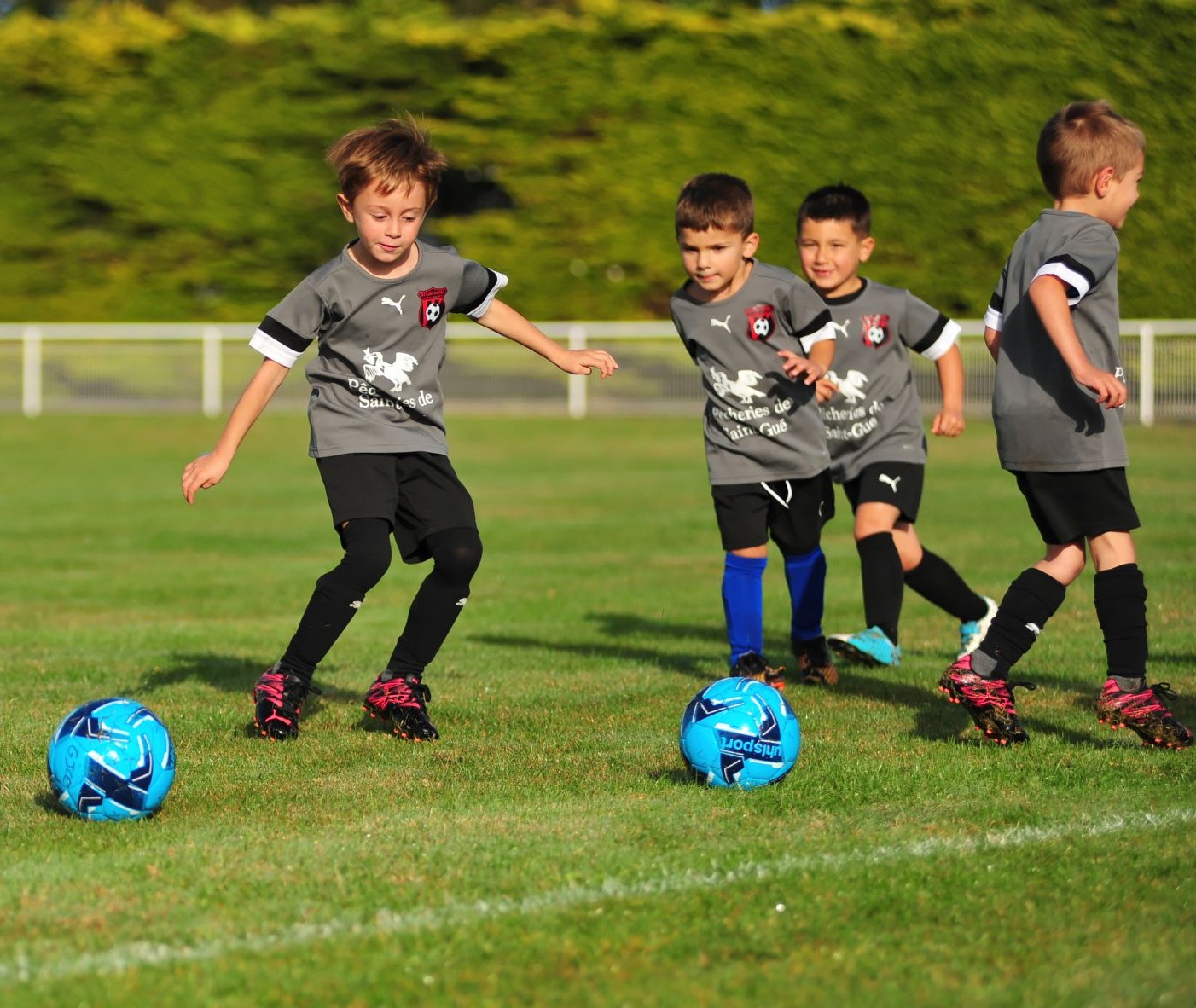 2013-2014 : La Révolution de la Formation