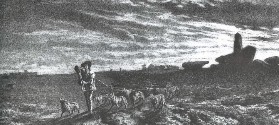 Illustration d'un loup dans la lande