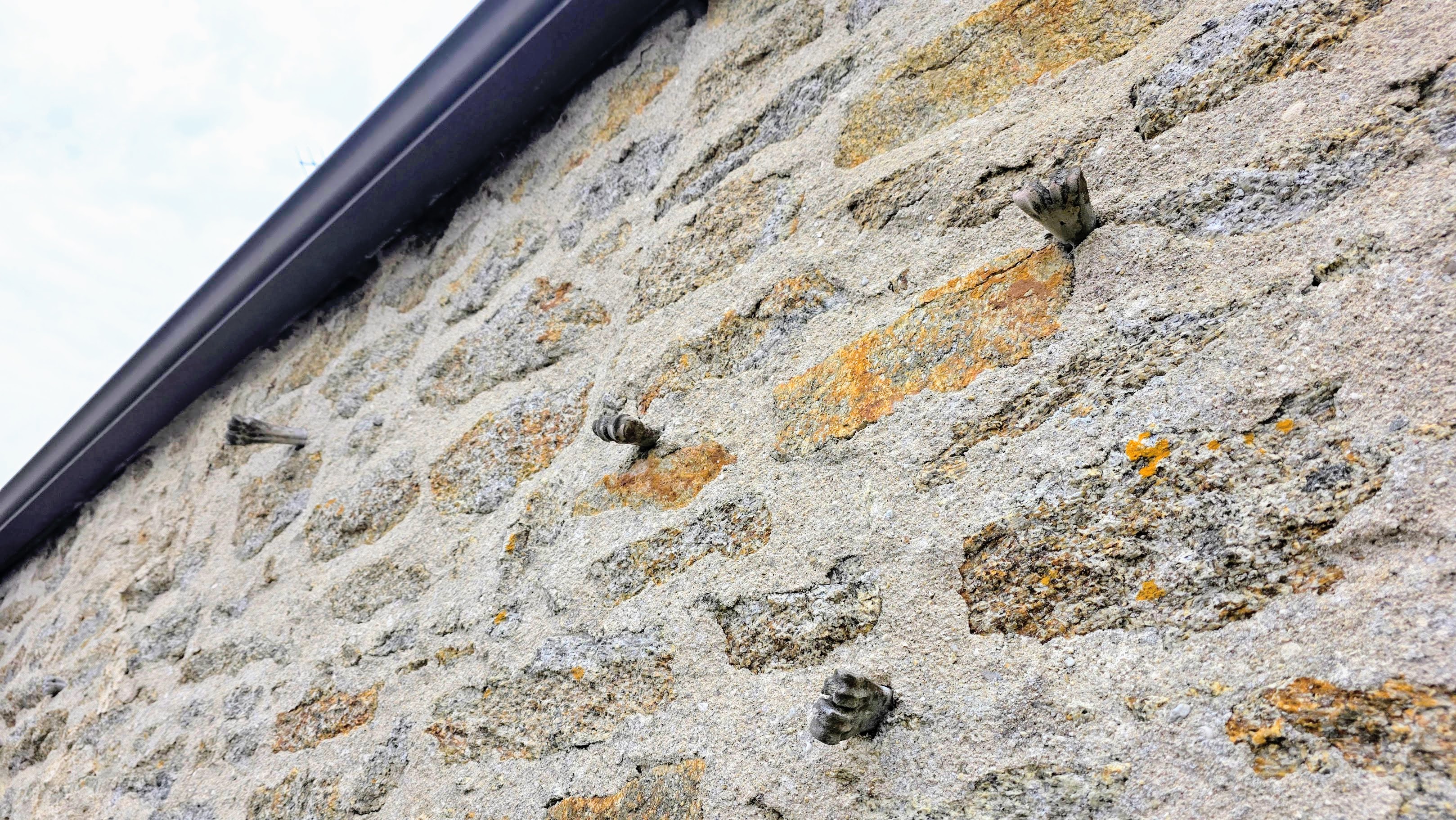 Détail d'un mur à os en granit