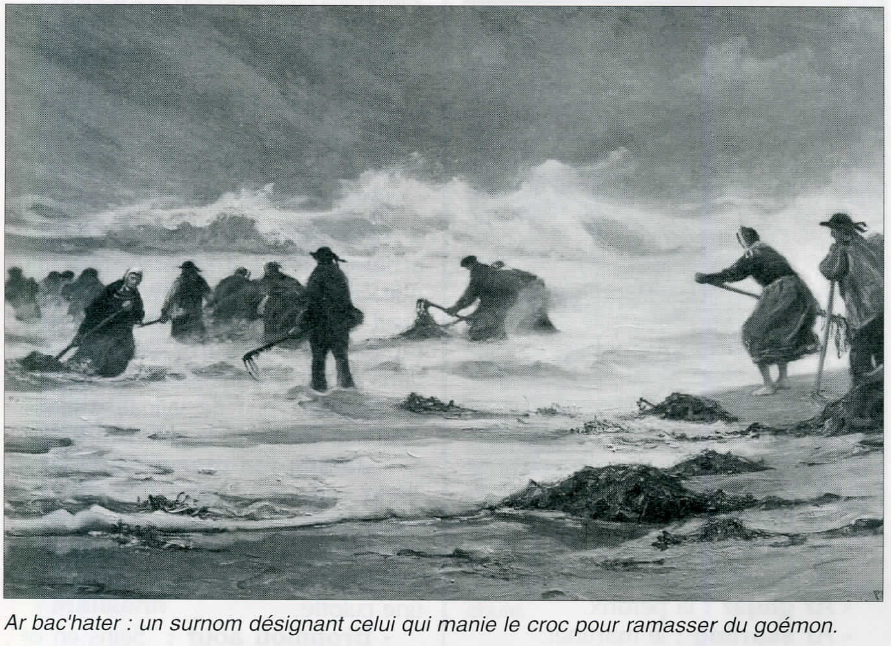 Goémonier à Kérity, début XXe siècle