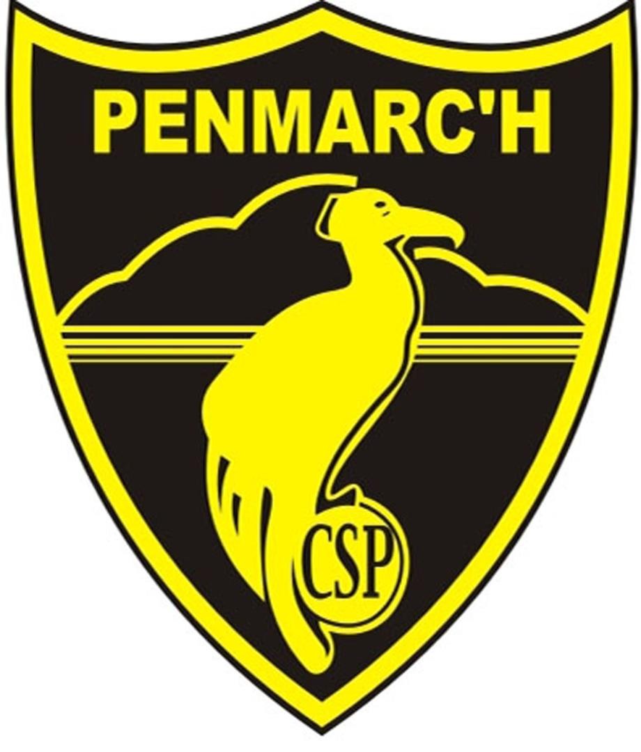 Cormorans sportifs de penmarch