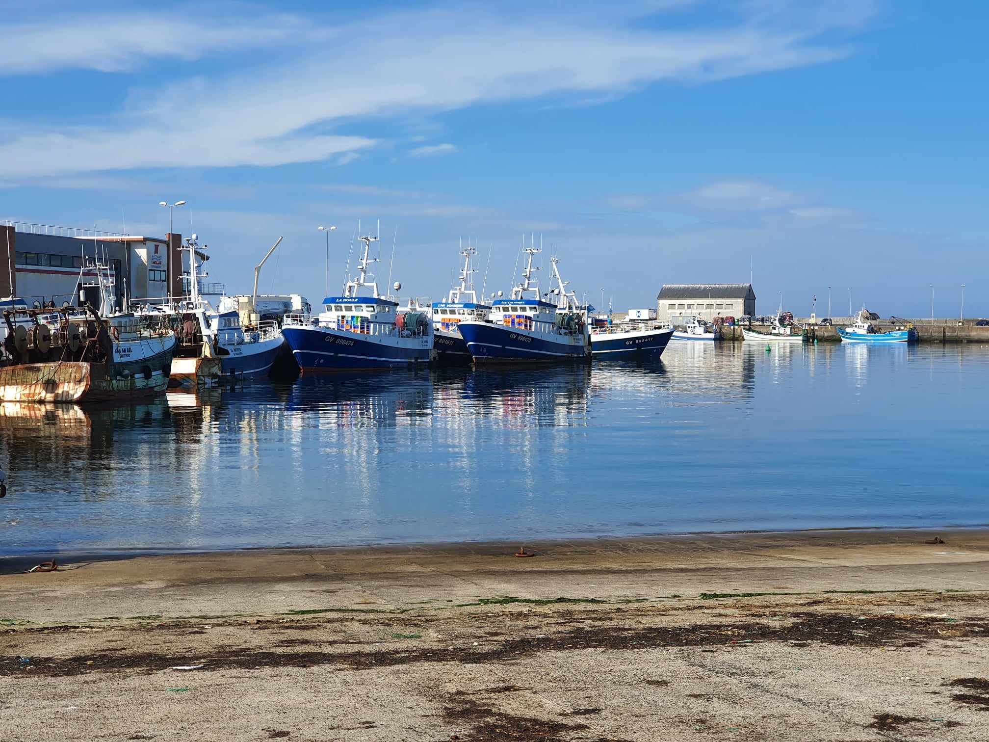 432263078 287913354327701 6102418129016474555 n