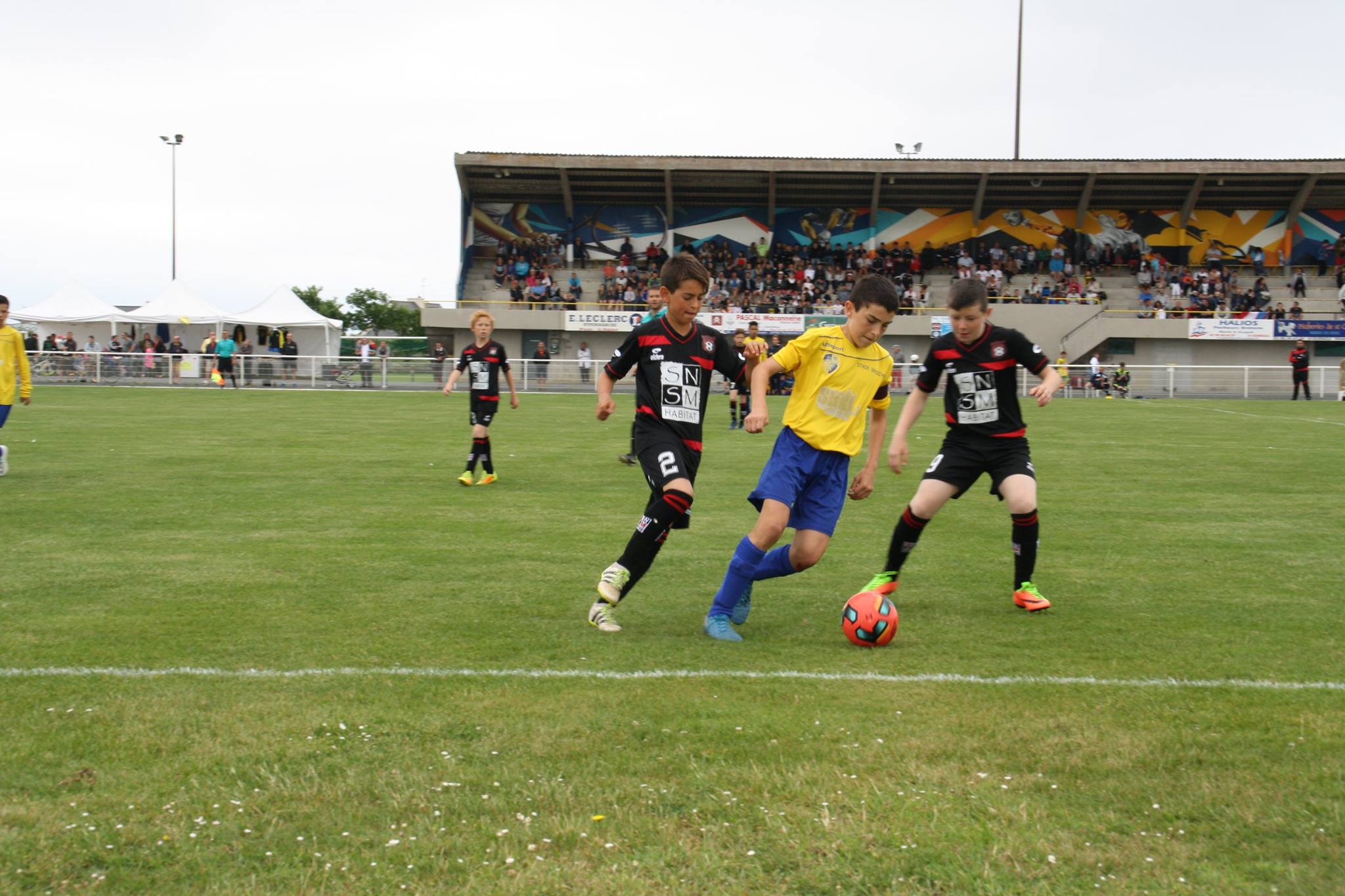 18815220 1430589553629599 4897706876000142540 o