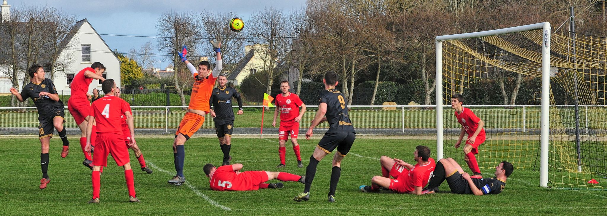 Envolée de Cormorans