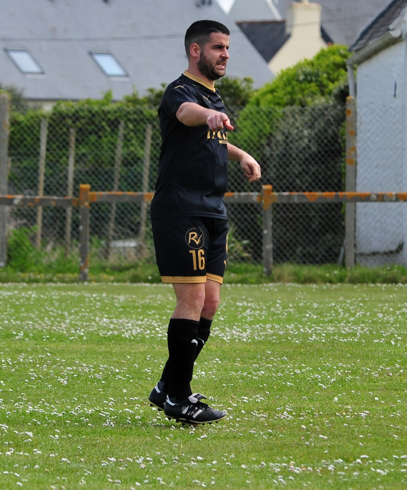 DSC 6012 DxO
