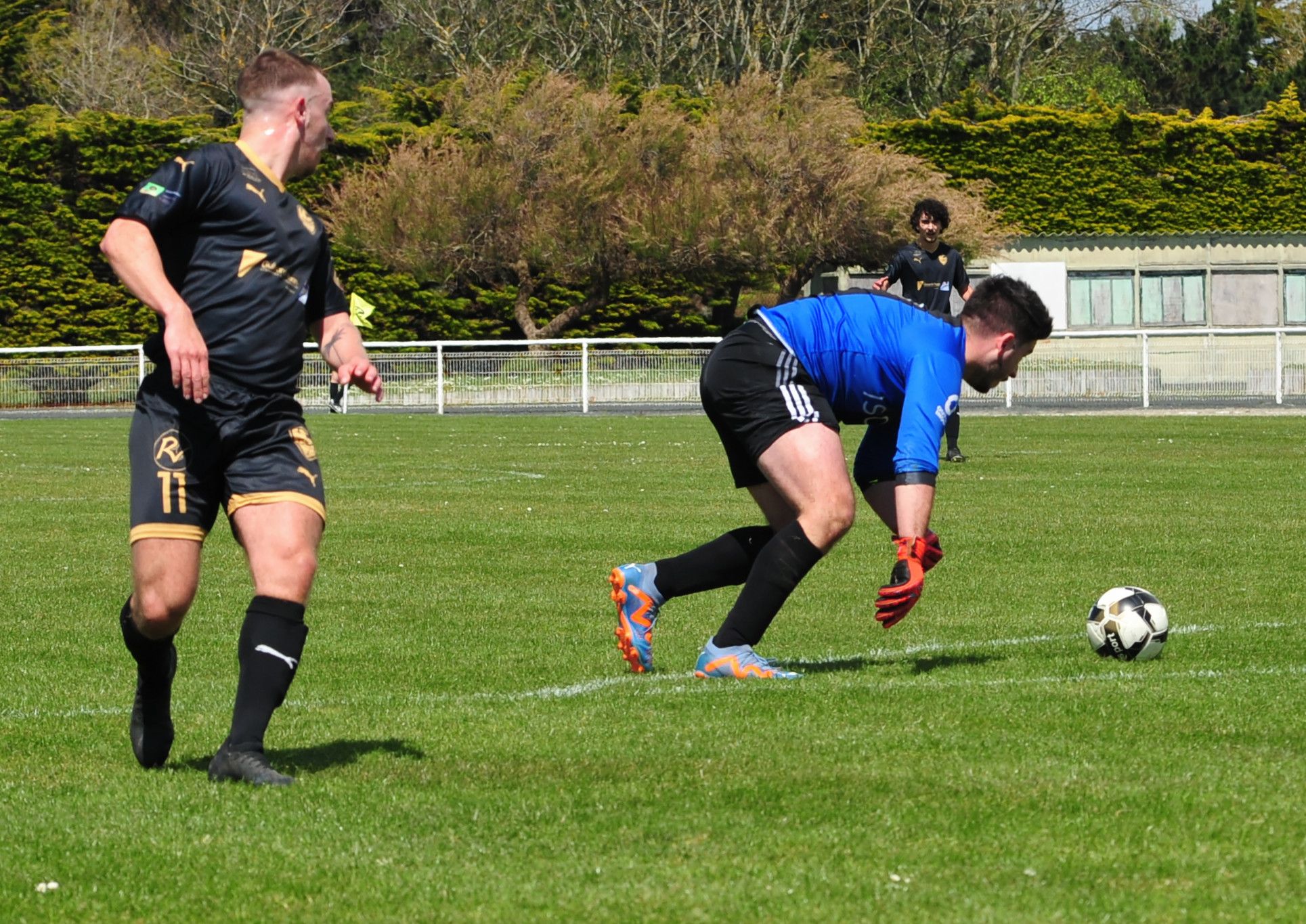 DSC 6739 DxO