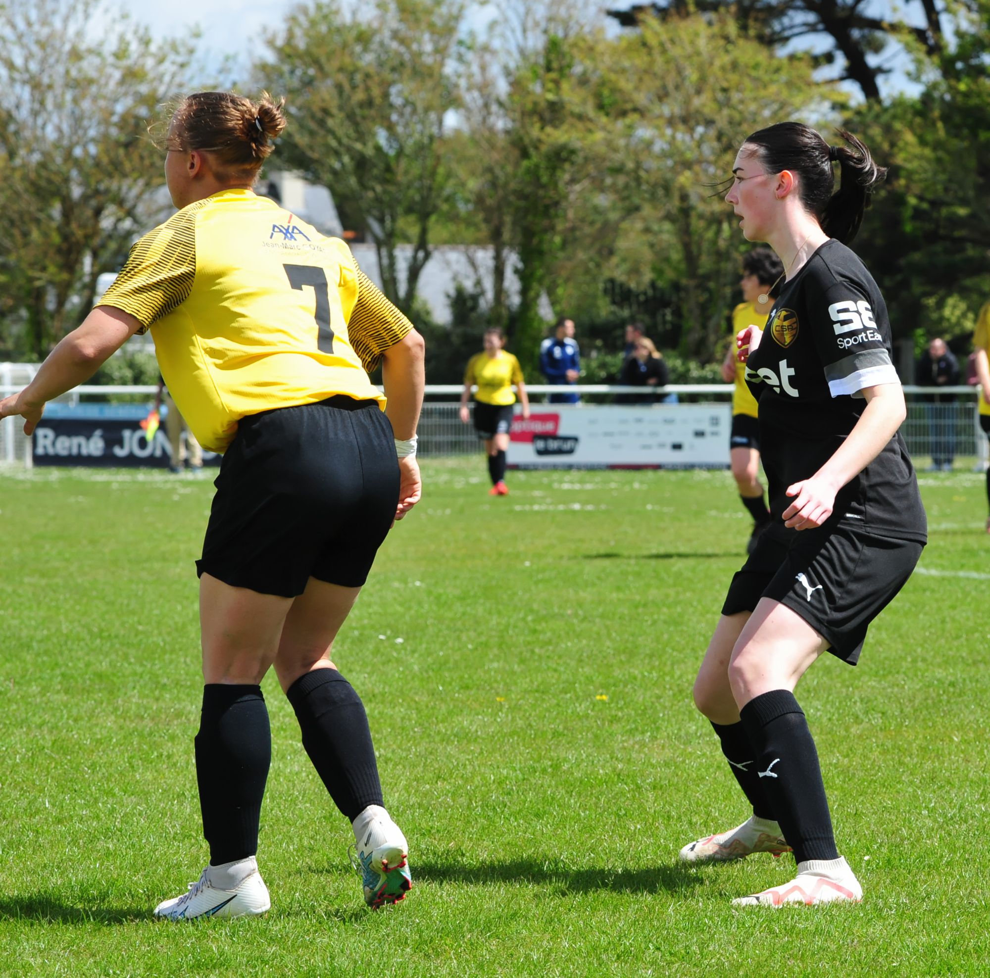 DSC 7976 DxO