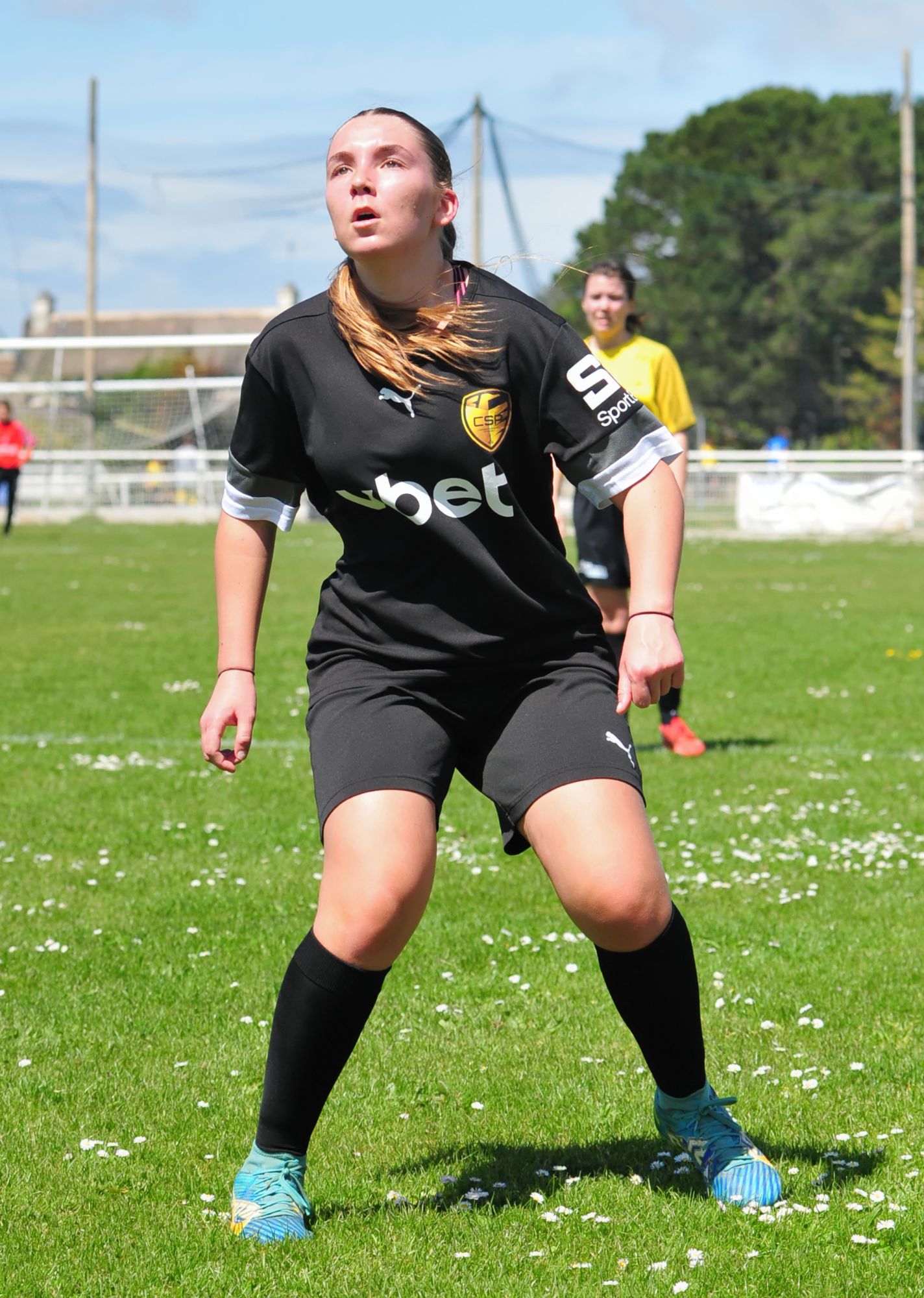 DSC 8084 DxO