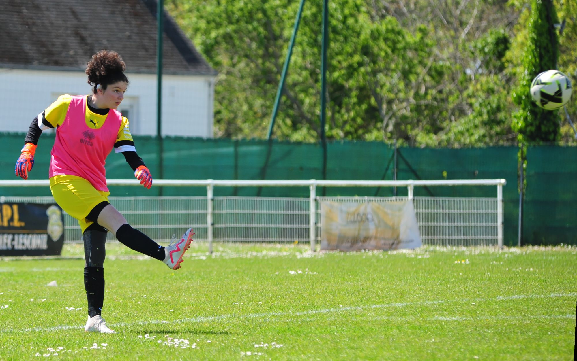 DSC 8090 DxO
