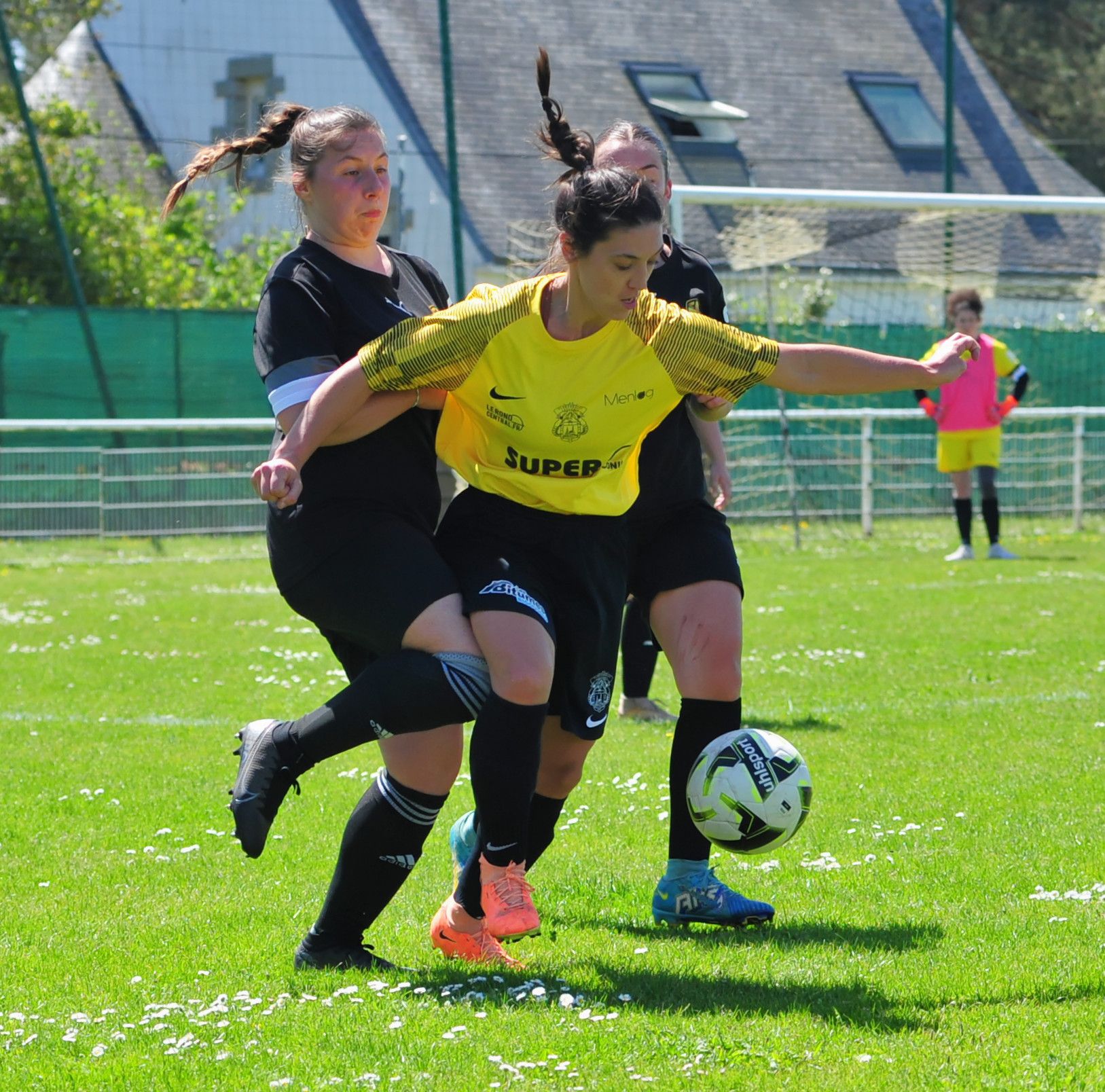 DSC 8100 DxO