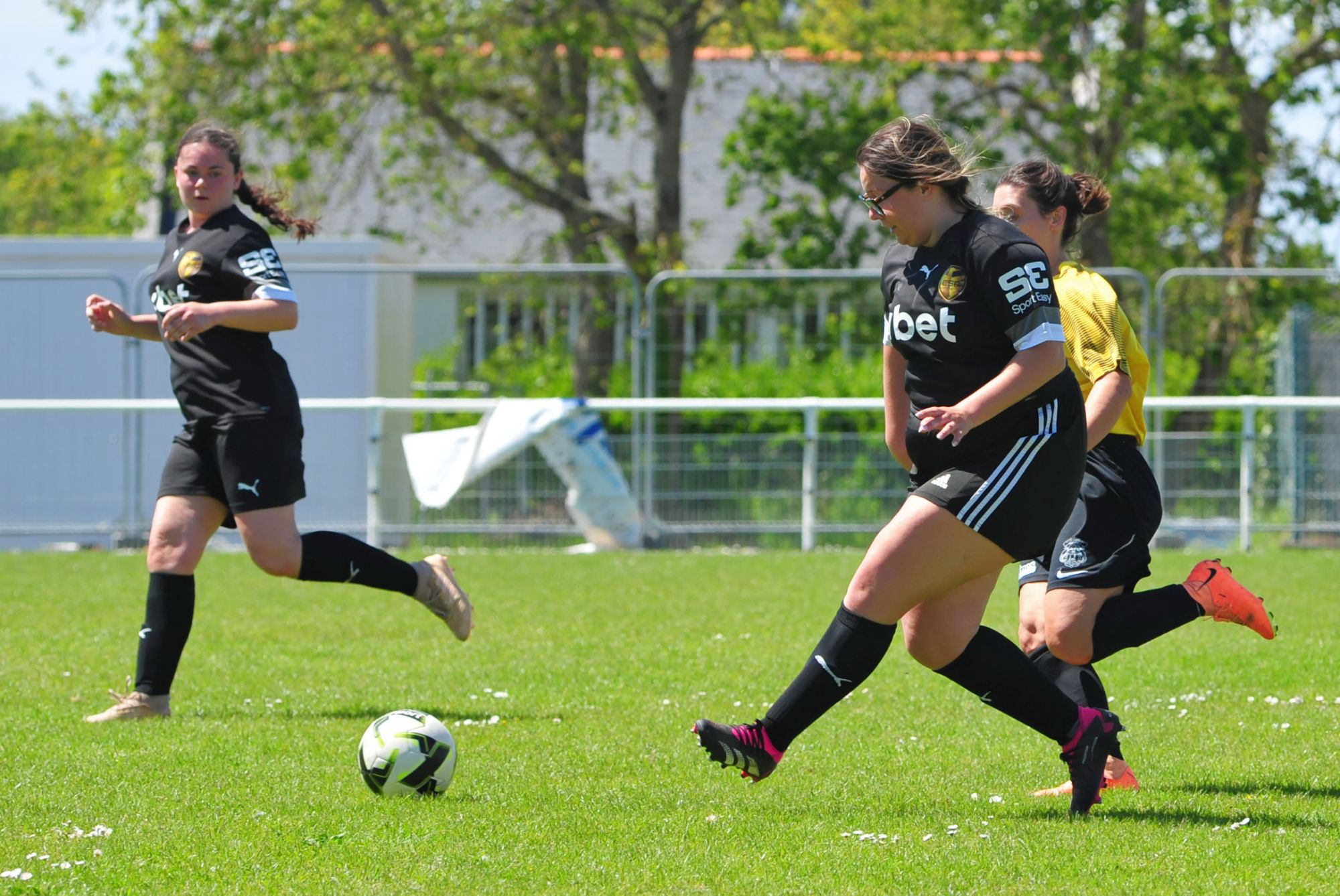 DSC 8119 DxO