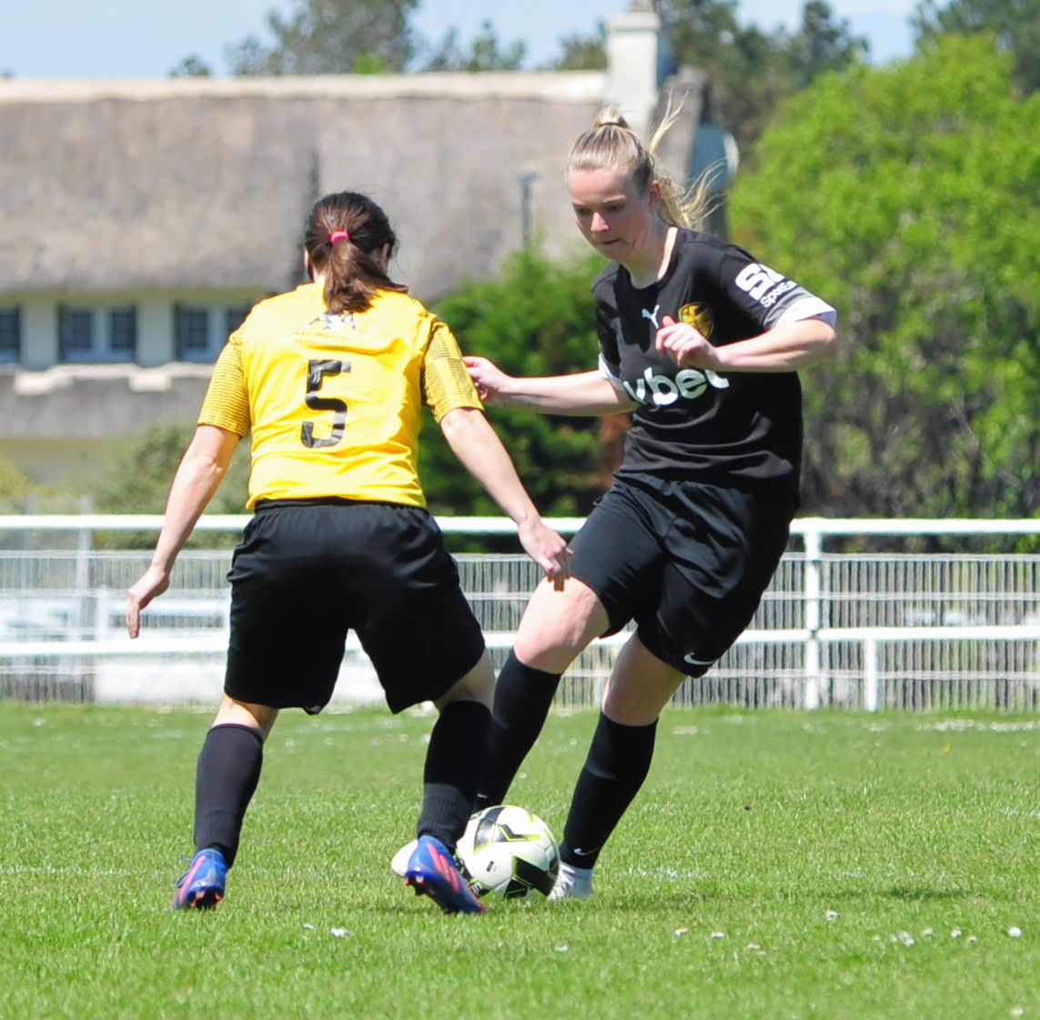 DSC 8123 DxO