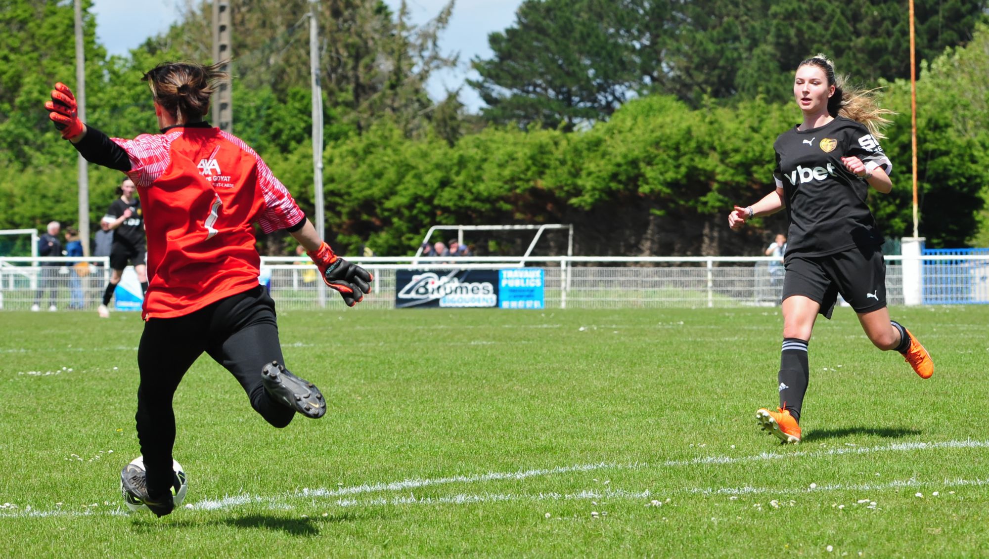 DSC 8181 DxO