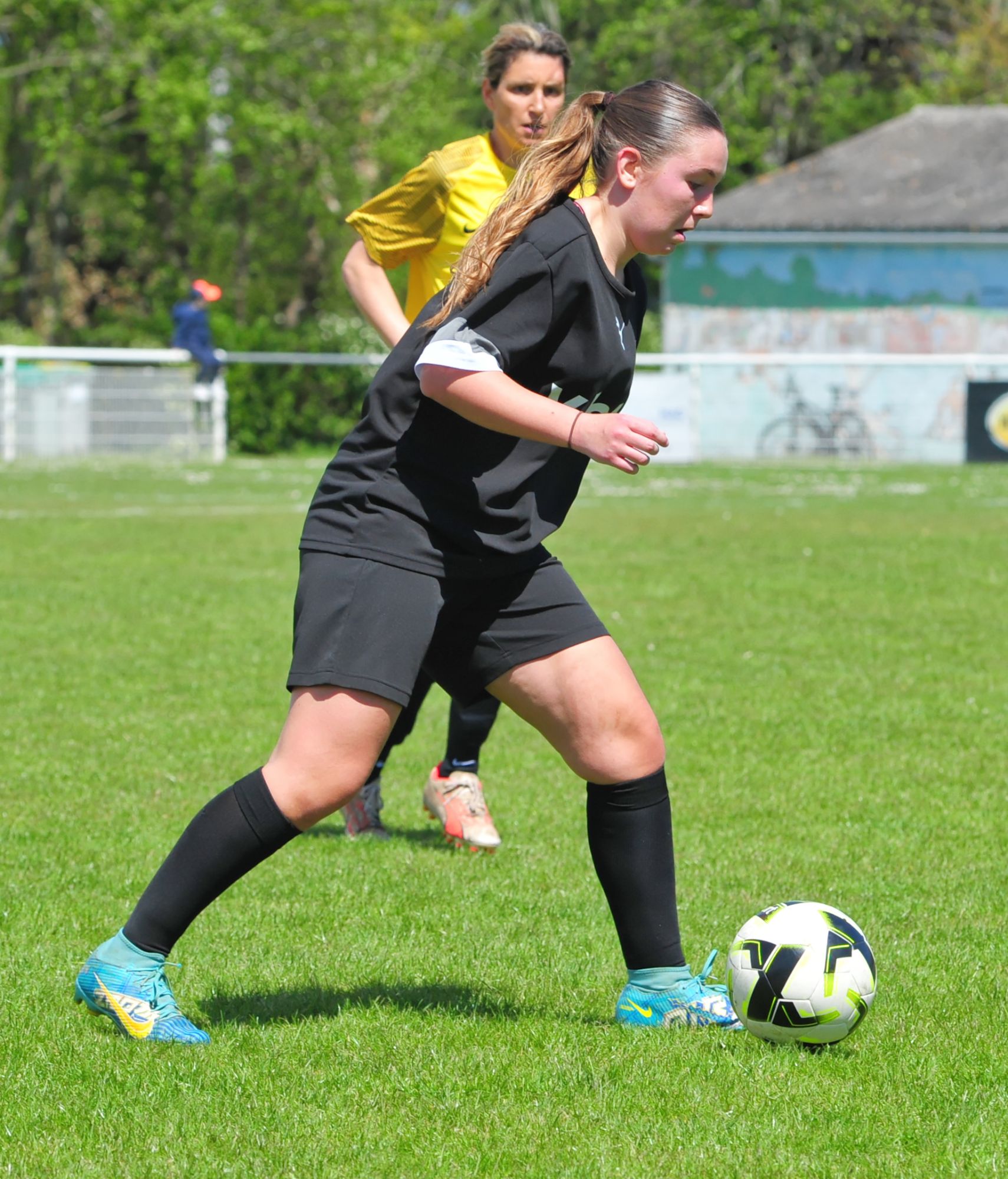 DSC 8231 DxO