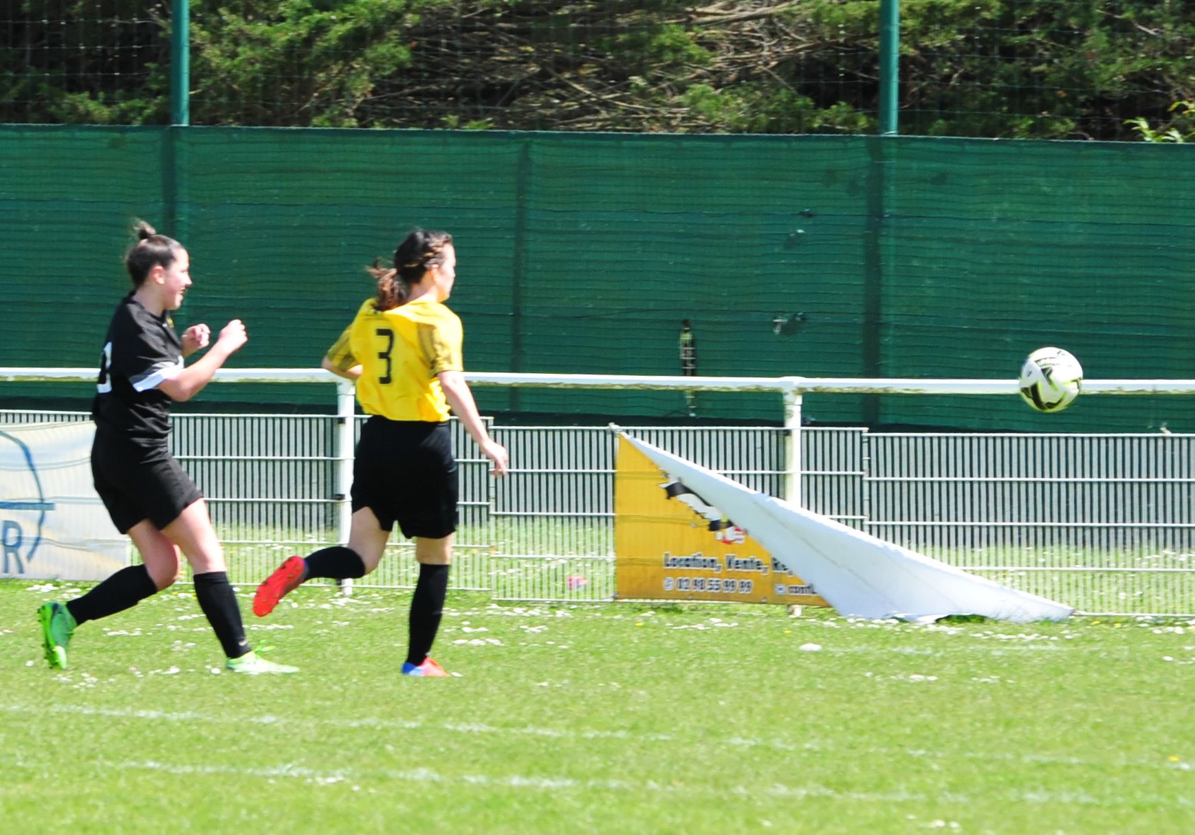 DSC 8253 DxO
